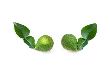 Citrus hystrix on white background.