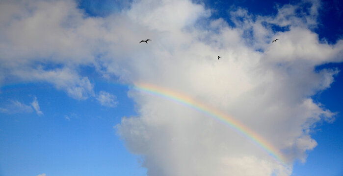 Frigate flying over rainbow