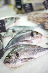 Fresh Seabream fish on a bed of crushed ice,displayed at Kotor farmer's market,Kotor,Montenegro.