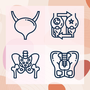 Simple set of kidney related lineal icons