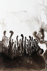 White-gray watercolor background. Transparent lines and spots on a white paper background. Paint leaks and ombre effects. Hand-painted abstract image. © Olirina
