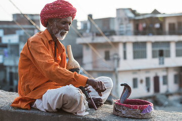 snake charmer with a cobra