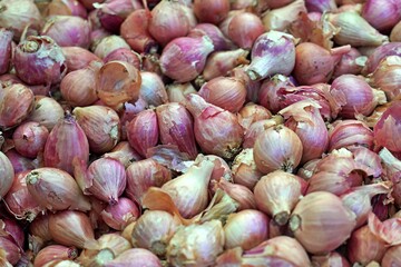 Shallot Red Onion for background