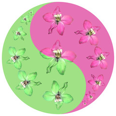 Floral symbol Yin-Yang. Delphinium. Geometric pattern of Yin-Yang symbol, from plants on colored background in Oriental style. Yin Yang symbol from flowers, petals. Flower illustration of mandala