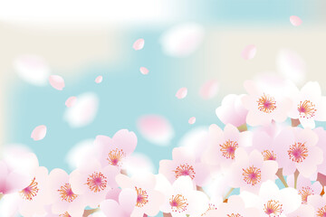 Fototapeta na wymiar ふわふわ舞う桜