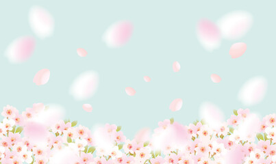 Obraz na płótnie Canvas ふわふわ舞う桜