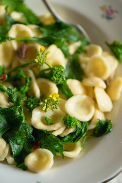 orecchiette with turnip greens