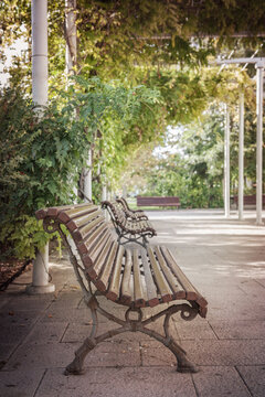 Bench at park under tree