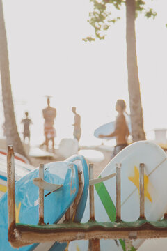 Rows of surfboards at beach
