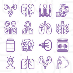 16 pack of liver  lineal web icons set