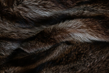 Closeup of a vintage fur coat made from Canadian beaver skins, Toronto, Ontario, Canada. © Jade