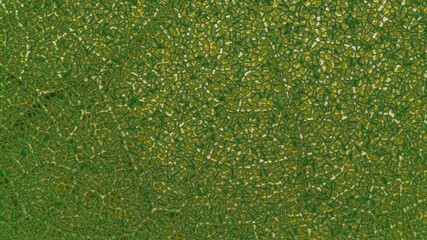 Plant nanobionics . Nano structures on surface of leaf. Extreme close up macro view . 3d render illustration concept