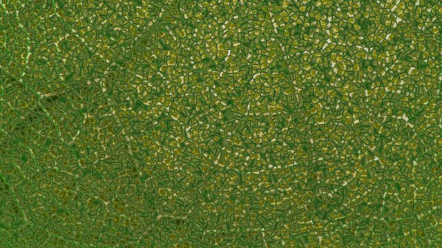Plant nanobionics . Nano structures on surface of leaf. Extreme close up  macro view . 3d render illustration concept