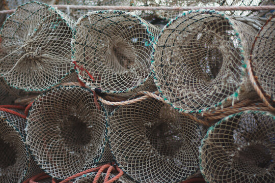 Fish traps