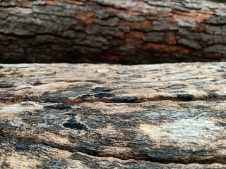 Wood floor pattern used in architectural design.