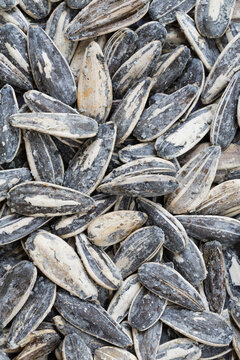 Roasted salted sunflower seeds background