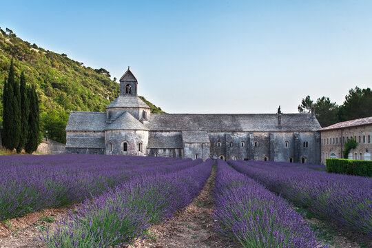 S&Ocirc;&oslash;&Omega;&Ocirc;&oslash;&Omega;nanque Abbey with lavender fields