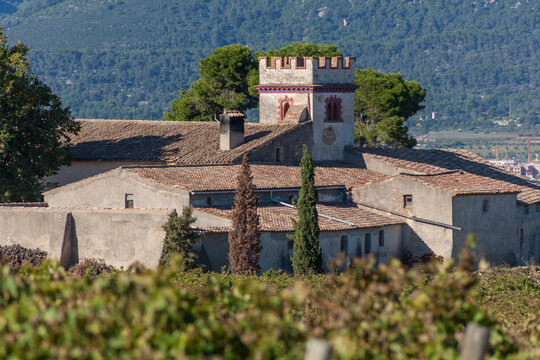 Traditional Spanish vineyard with adobe buildings in background