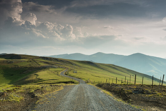 rural road through the meadows