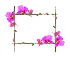 Fototapeta na wymiar Orchid frame Isolated with a white background with clipping path