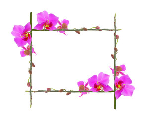 Orchid frame Isolated with a white background with clipping path