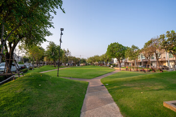 path in the park