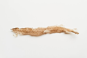 snakeskin on white background