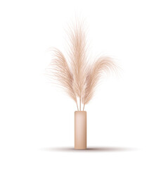 Pampas grass in vase. Dried floral ornament elements in boho style. Vector illustration isolated on white background. New trendy home decor. Stylish minimal design concept.