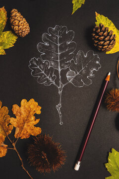 Autumn theme background with chestnut leaves