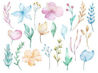 Set of watercolor tender spring flowers, branches and leaves, pastel shades