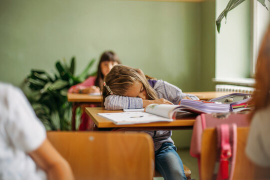 Back to School. Someone's Happy, Someone's Bored