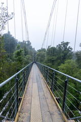 west coast New Zealand glacier franz josef fox glacier hokitika arthus pass otira