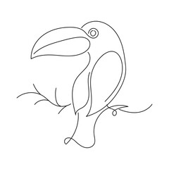 Toucan Bird Line Art vector illustration, Abstract Line Minimalist Wall Art