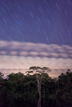 Perseids Shower
