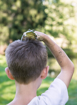 Boy has a frog on his head