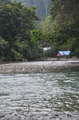 river on the edge of the forest