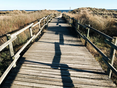 let___s go the beach