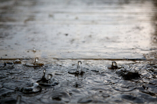 Raindrops hitting a puddle