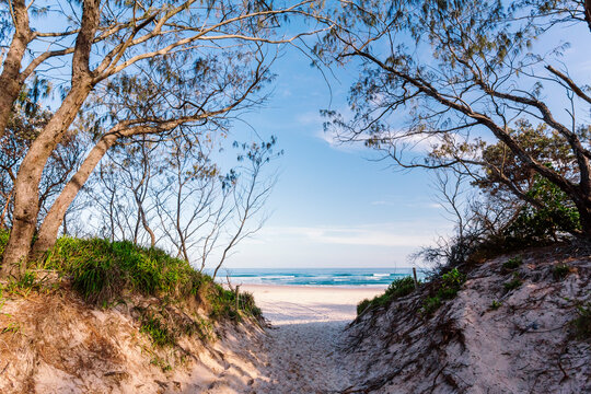 Exploring the dunes at Tallow Beach Byron Bay.