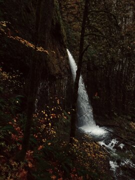 Waterfall in Forest of Fall Color