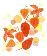 水彩画風の沢山の鬼灯と明かり
