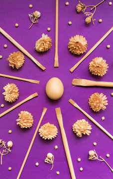 Easter Egg with brushes and flowers adn herbs on violet background.
