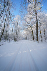 Fototapeta premium Wintersonne