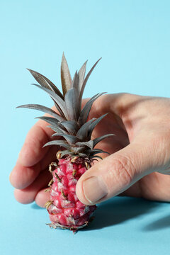 Exotic miniature pineapple