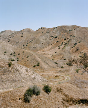 Desert Dirt Road