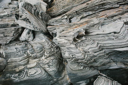 Zebra Schist