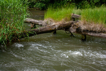 Naklejka premium Remains of structures of a wooden bridge over the river in the forest. Greenery grows along the banks of the river in the forest.