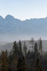 The peaks of High Tatra Mountains, Poland. Sunny December day in Podhale region. Lower hills are covered with old coniferous forest. Selective focus on the trees, blurred background.