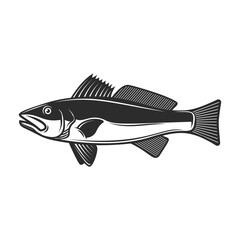 Illustration of zander fish in black and white style. Design element for poster, card, banner, sign, logo. Vector illustration