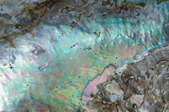Closeup macrophotograph of iridescence and patterns in abalone shell